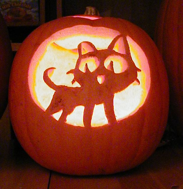 Image result for jack o lantern with cat